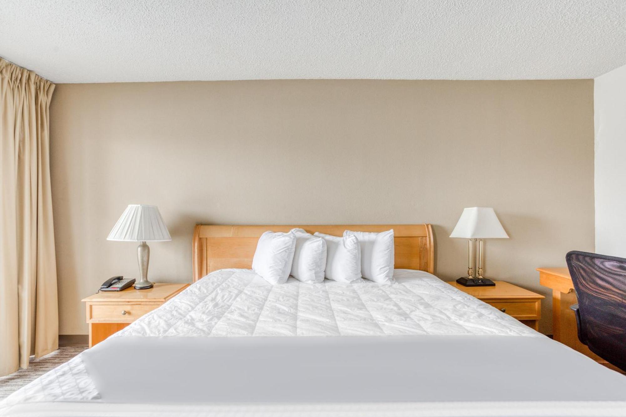 Готель Oyo Townhouse Owensboro West Екстер'єр фото